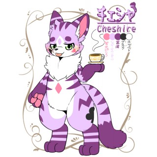 Cheshire image