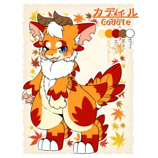 カディル