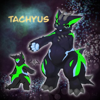tachyusのデザイン画/写真